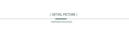 5 PCS/Set Mesh Briefs M-2XL Lace Panties Sexy Transparent Underwear Low Rise Panties Girls Intimates Lingeri