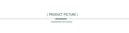 5 PCS/Set Mesh Briefs M-2XL Lace Panties Sexy Transparent Underwear Low Rise Panties Girls Intimates Lingeri