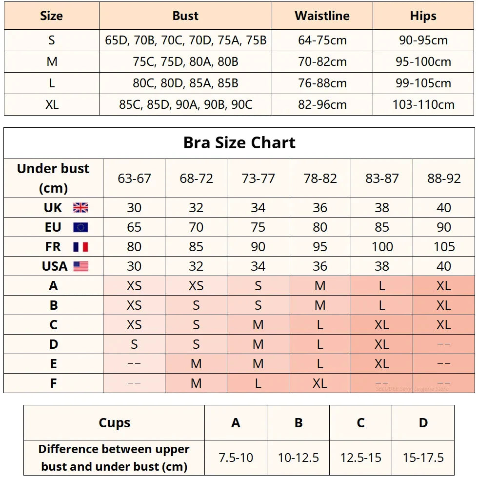 Lady Floral Lace Embroidery Lingerie Sets Women See-through Bra and Panty Set Underwear Sexy Hot Intimates Erotic Sexy Porn Suit