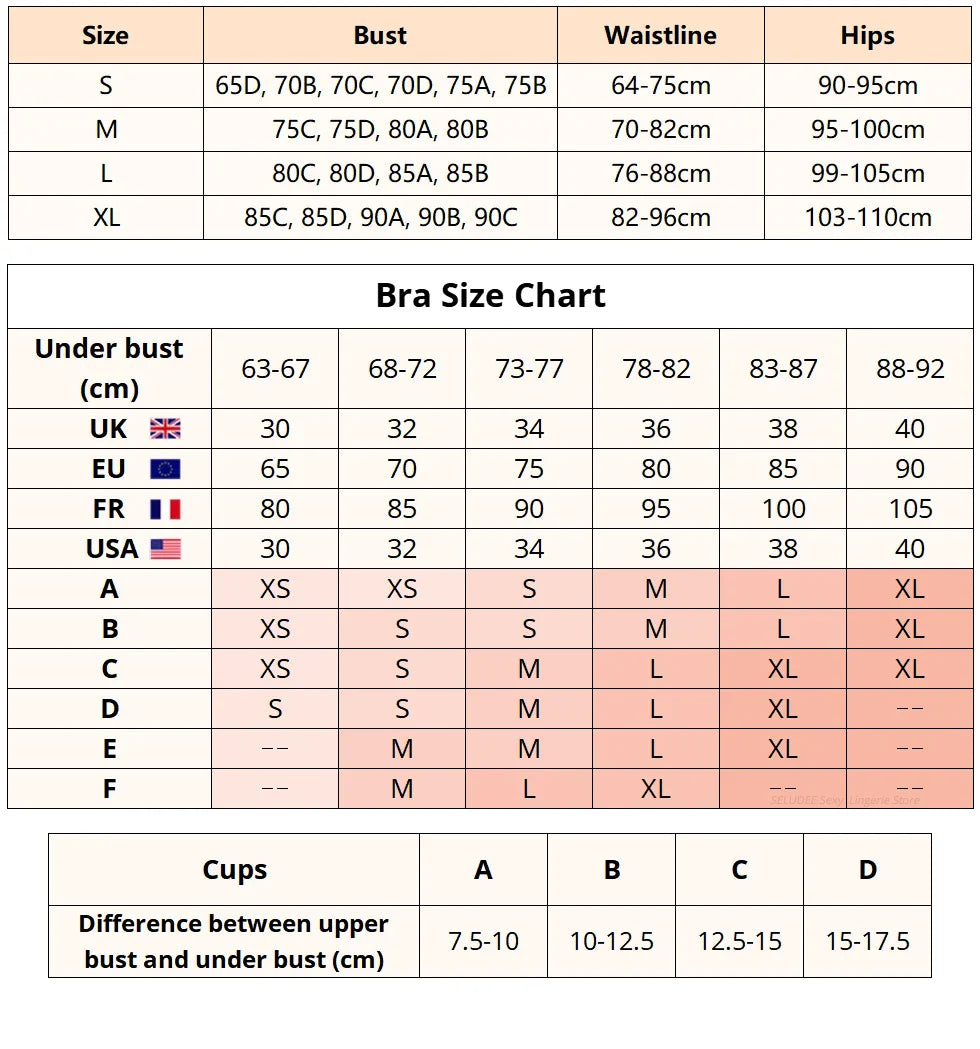 Lady Floral Lace Embroidery Lingerie Sets Women See-through Bra and Panty Set Underwear Sexy Hot Intimates Erotic Sexy Porn Suit